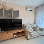 Camelia يوريت دي مار