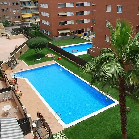 Camelia * Λορέτ Ντε Μαρ